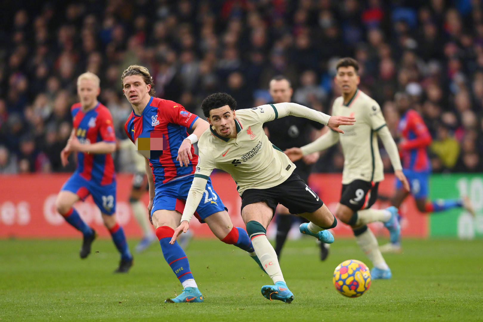 一线队名单 一线队名单